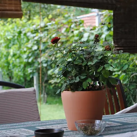 Bogdanovic Lejlighed